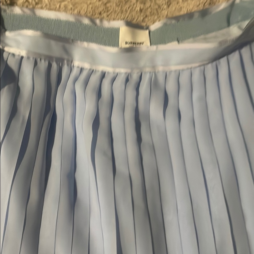 Burberry Light Blue Pleated Women's Skirt